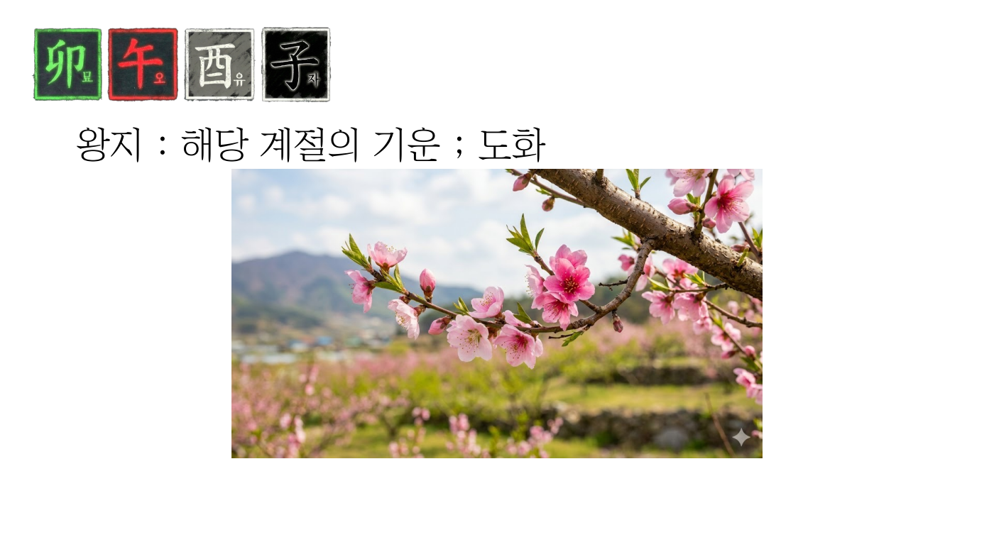 강의 화면. 도화를 복사꽃 사진과 함께 설명한다.