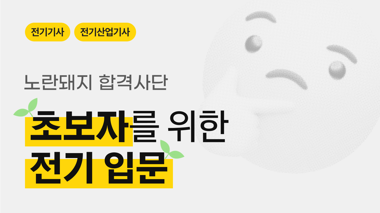 노란돼지 초보자를 위한 전기 입문