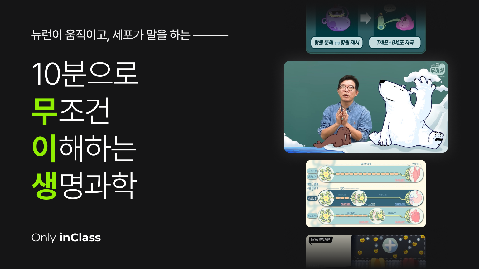 [애니메이션 특강] 10분으로 무조건 이해하는 생명과학